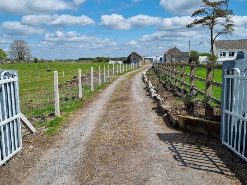 Driveway