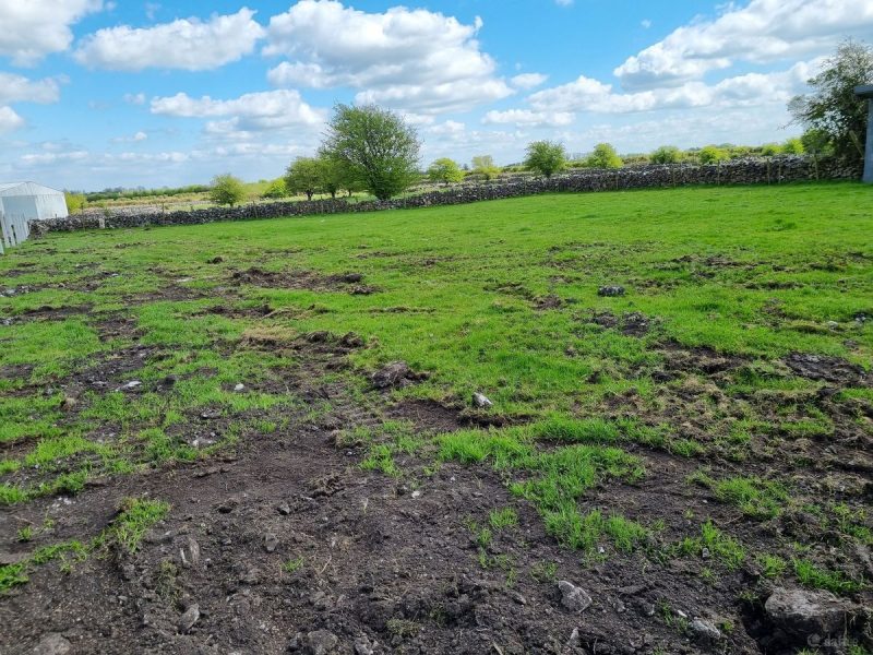 Field 2