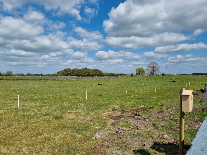Field