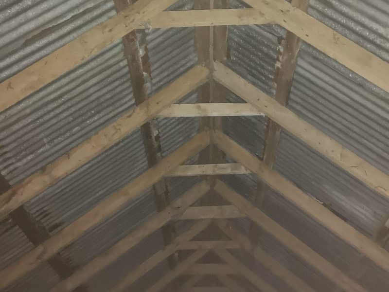 Pic 17